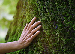 Common Hand Conditions: From Carpal Tunnel to Trigger Finger